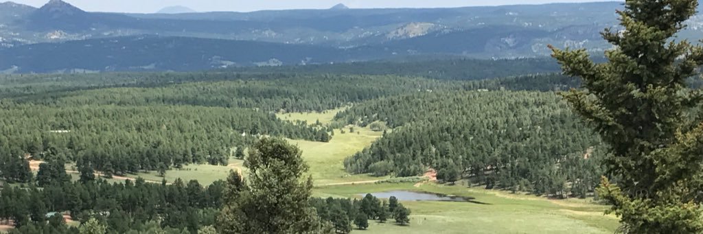 Rodney Watson banner