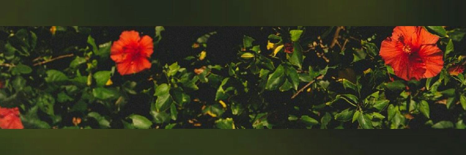 April_Poland's profile banner image