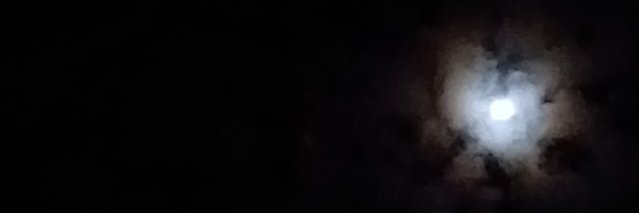 fckln2's profile banner image