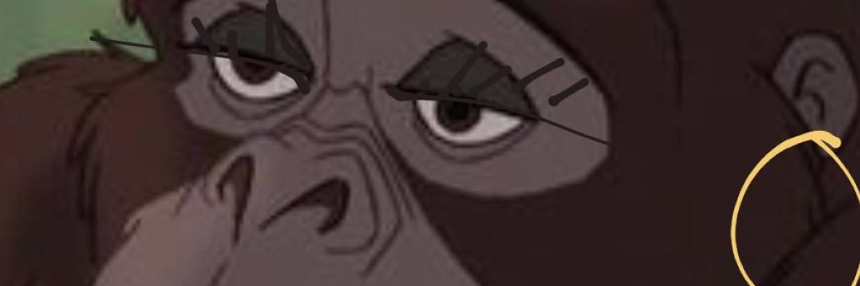 agnesskoogh's profile banner image