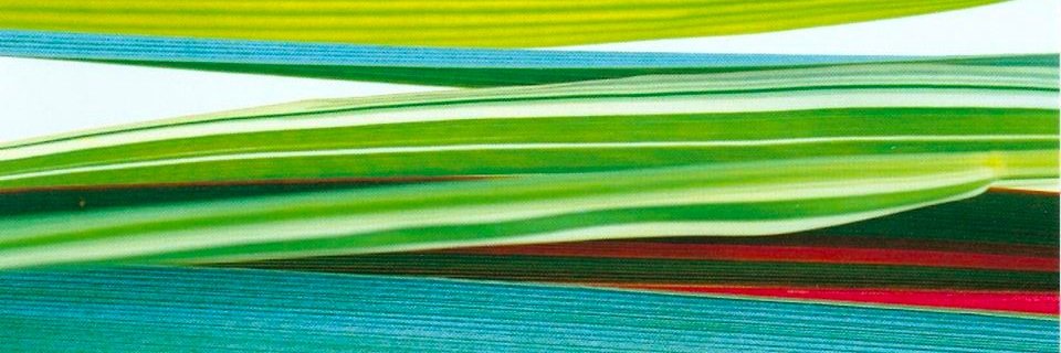 LJs_Etlins's profile banner image
