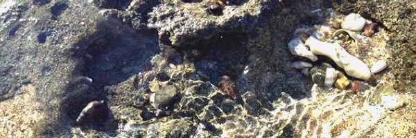 IamXorge's profile banner image