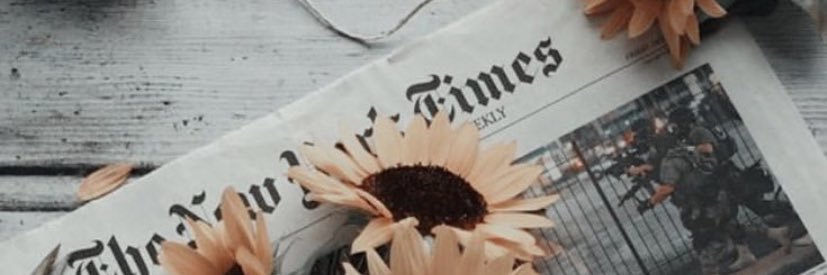 stemoraaess's profile banner image