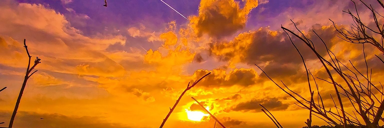 Brianniful's profile banner image