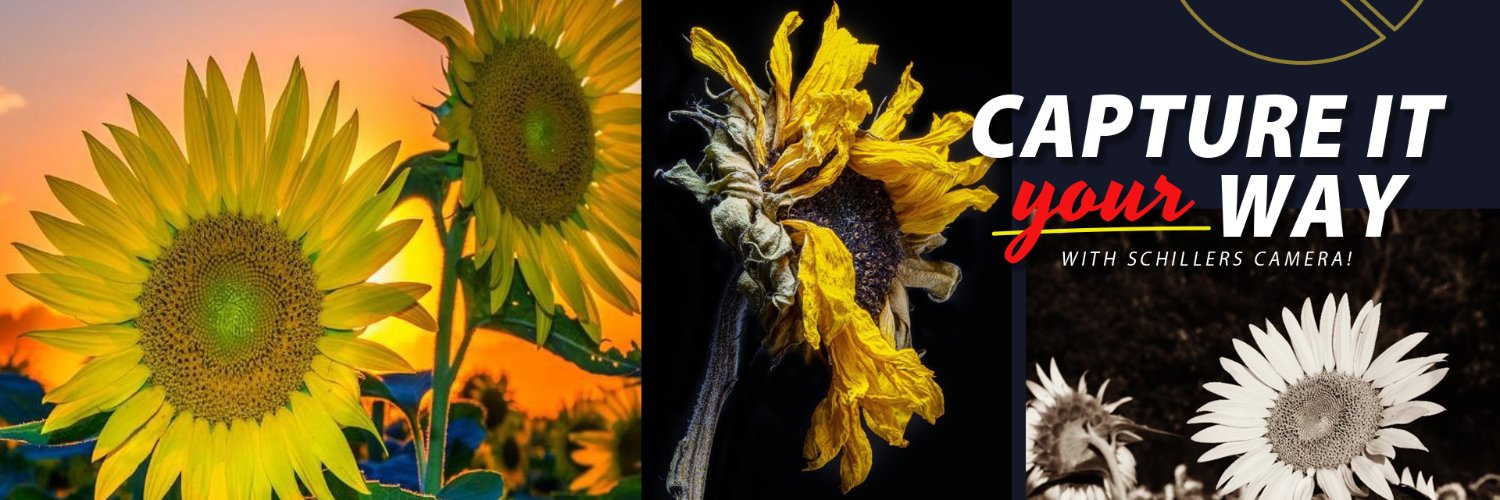 schillerscamera's profile banner image