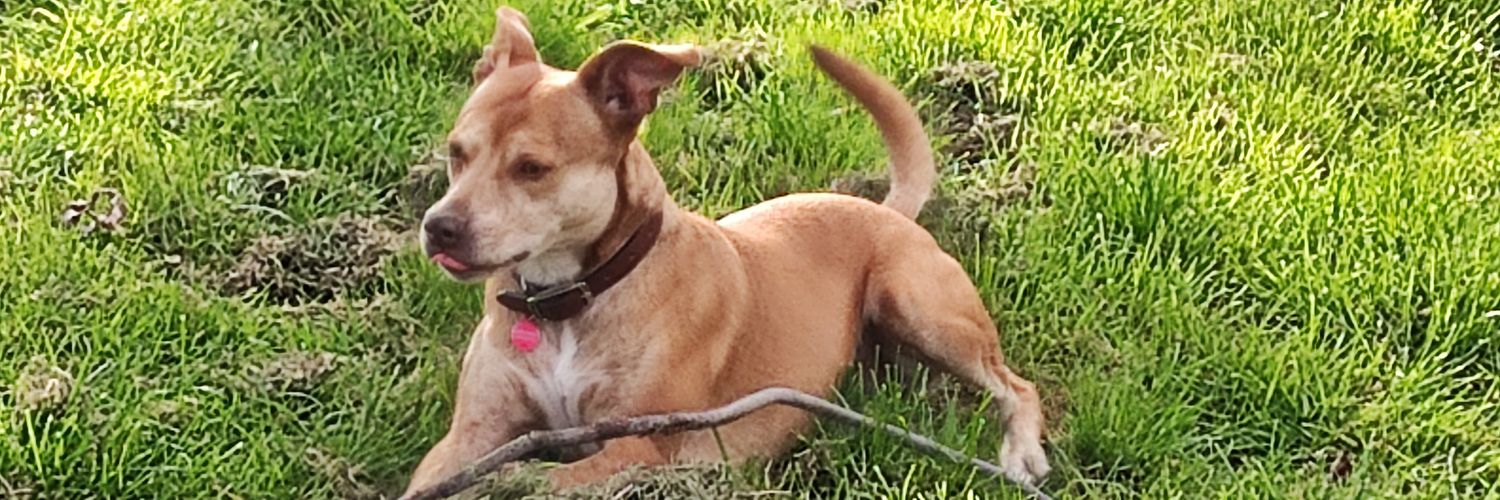 Peter Mengerink banner