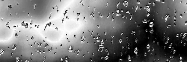 moniaaahmed Profile Banner