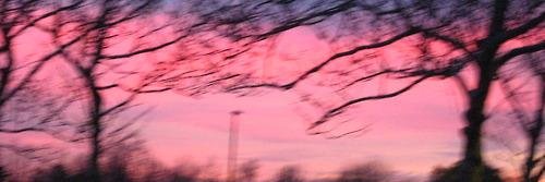 alaskaccgdr's profile banner image