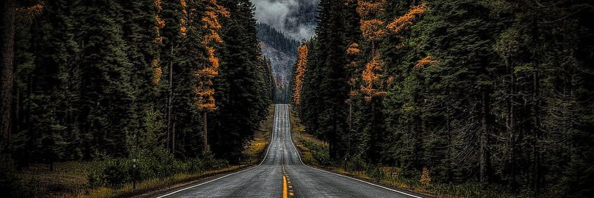 on_ly1's profile banner image