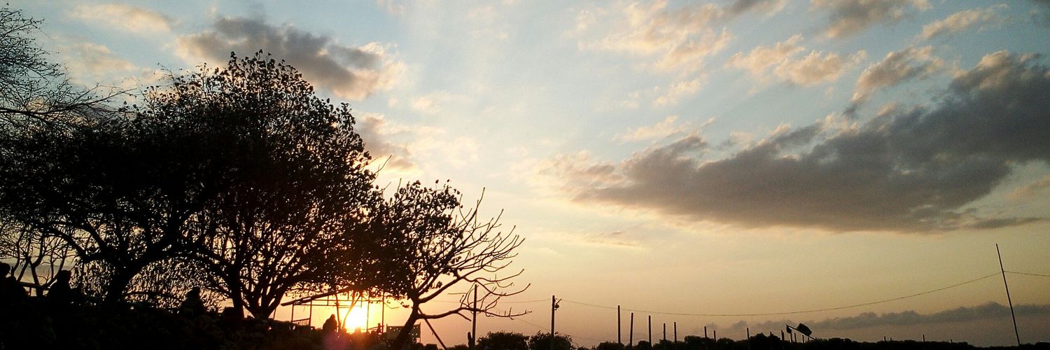 daisy_flower02's profile banner image