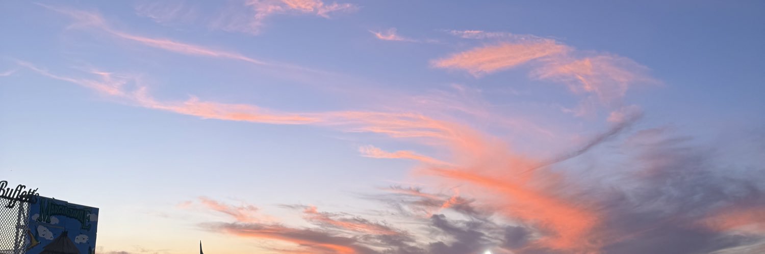 lillyseeberger's profile banner image