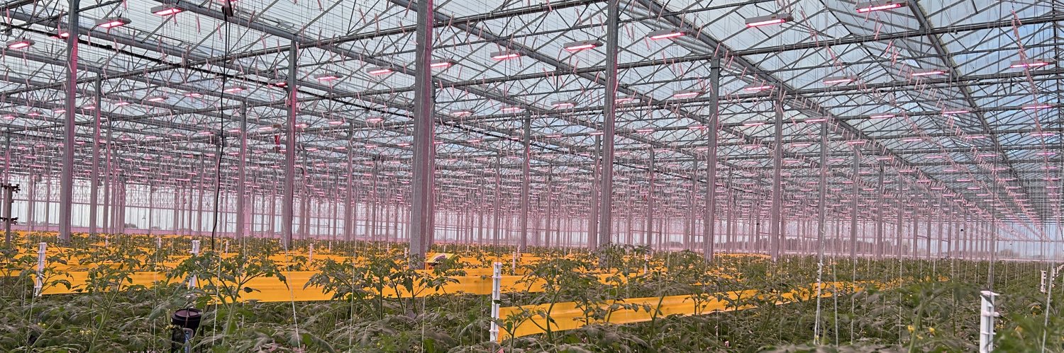 Mendel Select banner