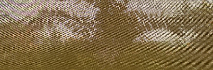 bivncasanchez's profile banner image