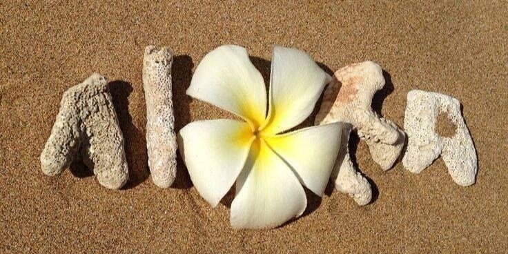 2livealoha's profile banner image