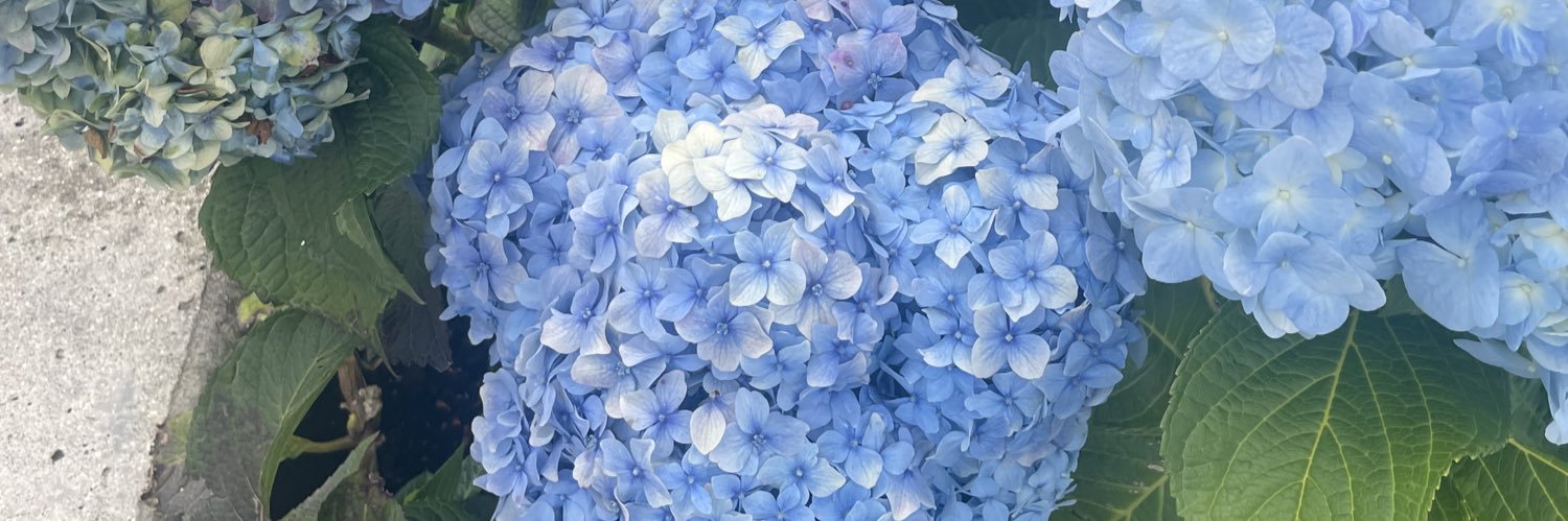 andreajfloress's profile banner image