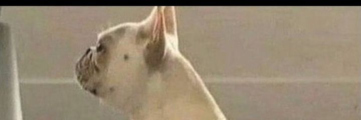 jafa_08's profile banner image