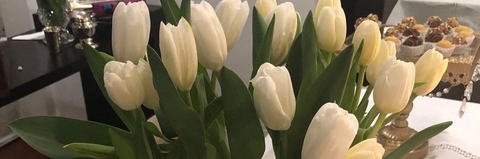 VaneLF27's profile banner image