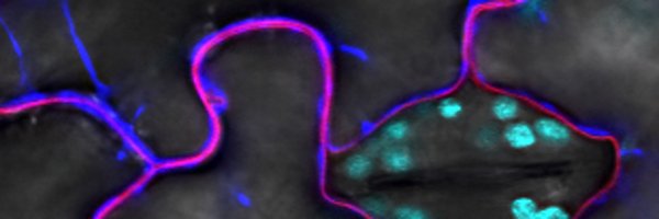 Tolga_Bzkrt Profile Banner