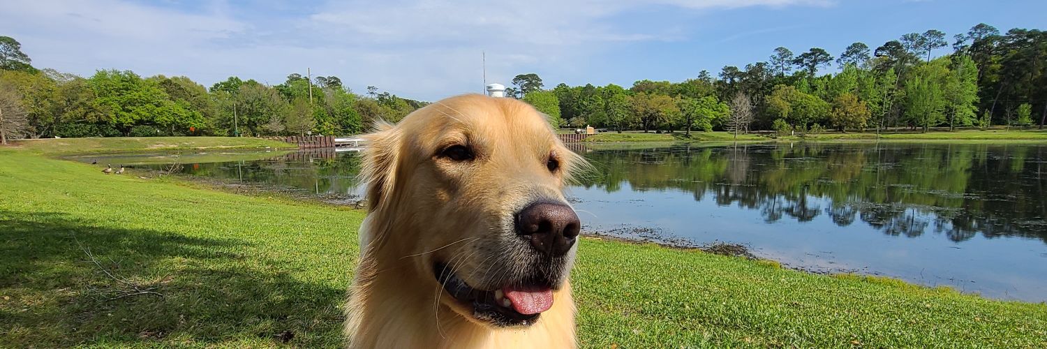 BDDanielJohnson's profile banner image
