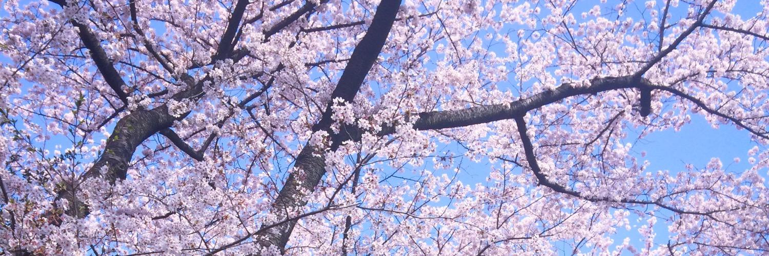yakouhiro's profile banner image