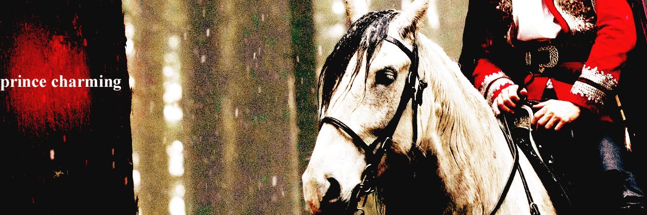 CharmedShepherd's profile banner image