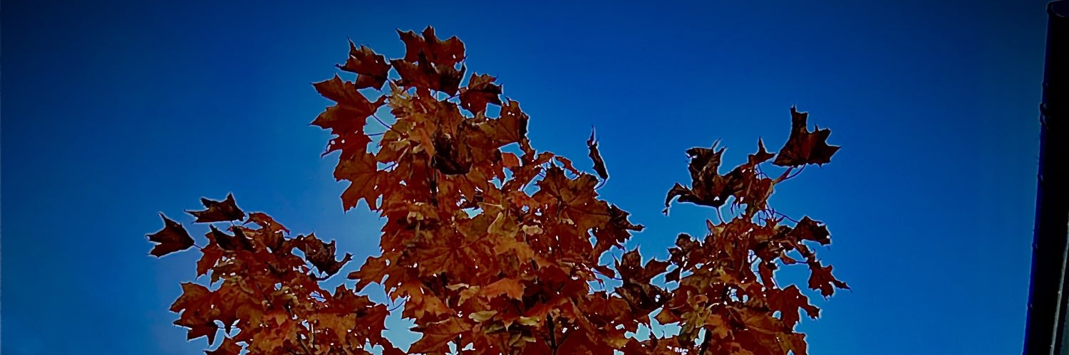 K95_Marshall's profile banner image