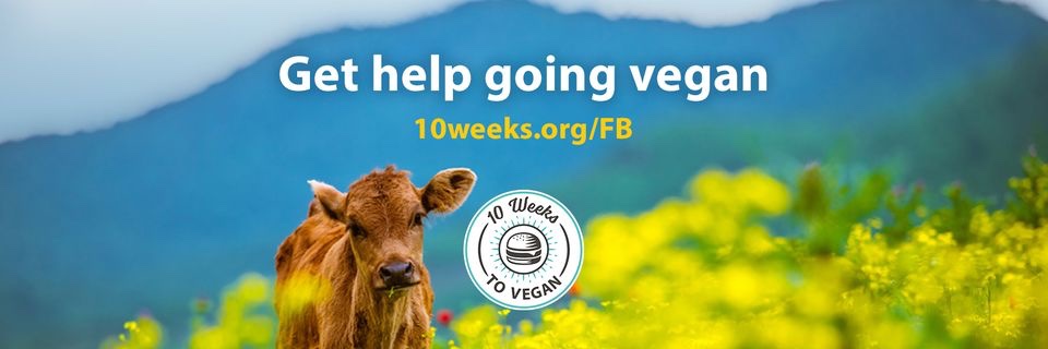 veganoutreach's profile banner image
