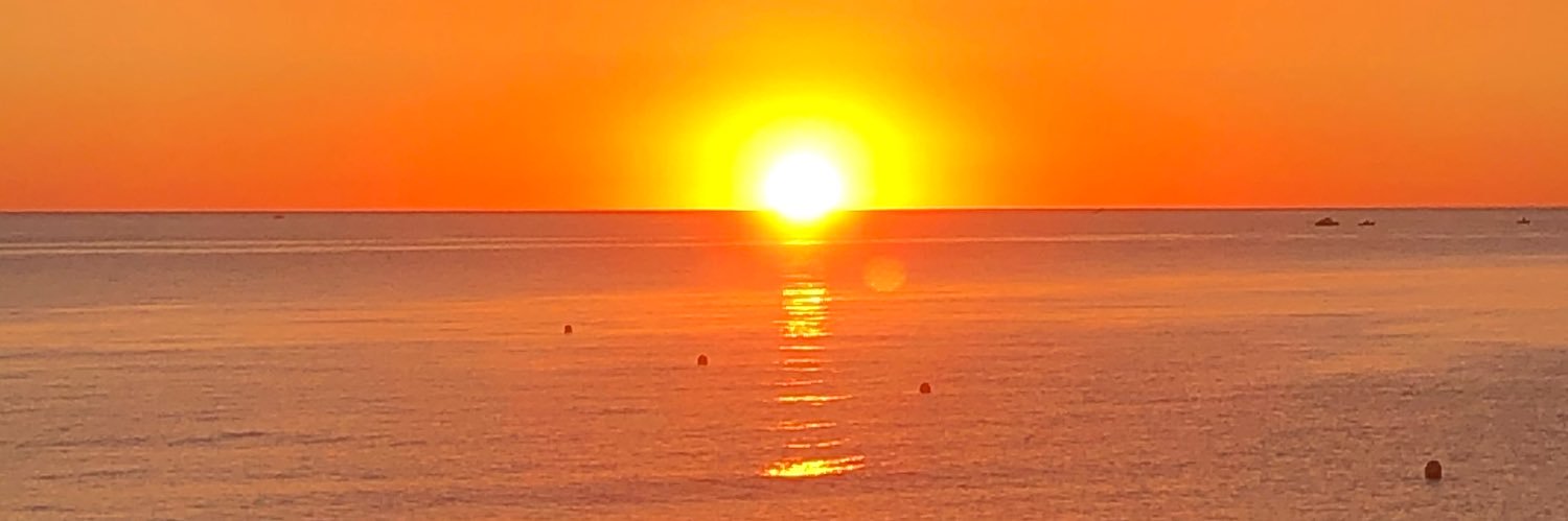 caillis gerard banner