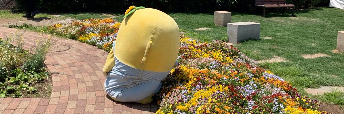 yochan412's profile banner image