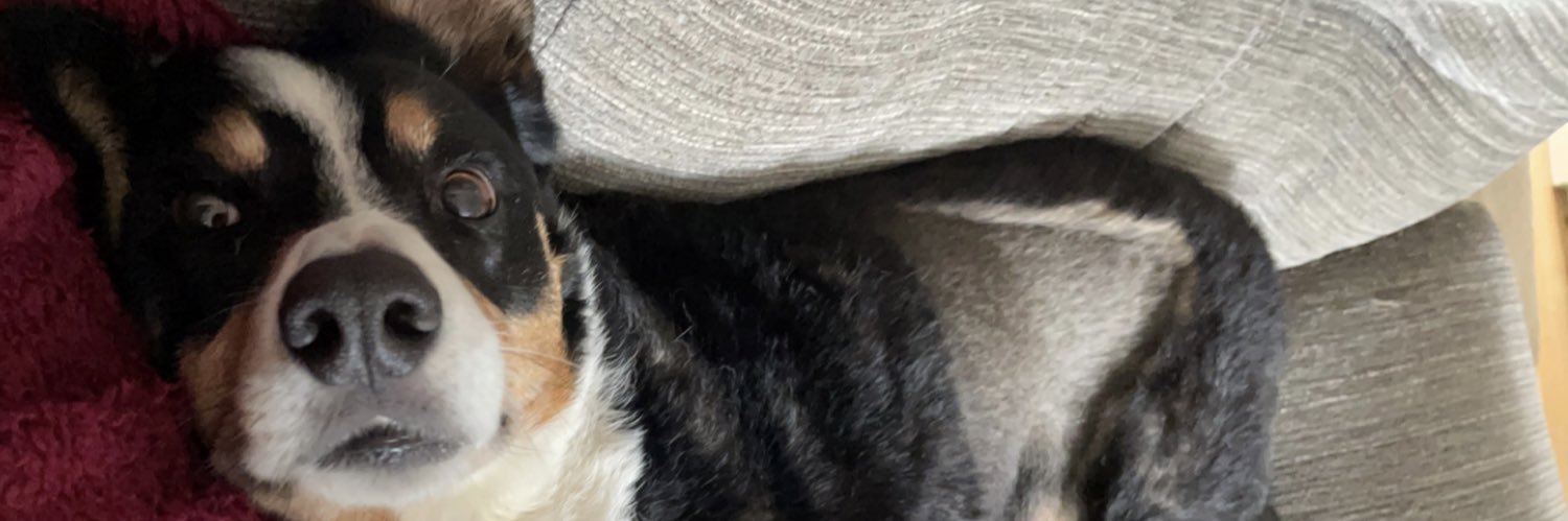 CaitsLawrence's profile banner image