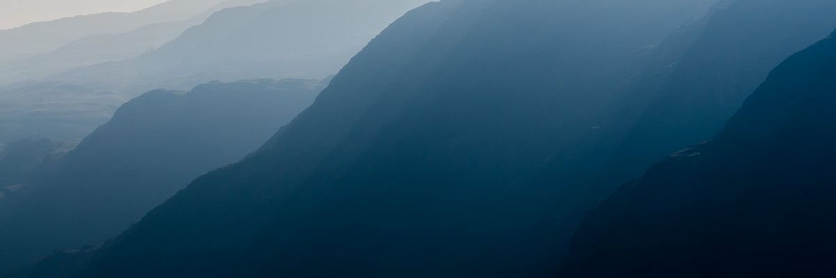Neufeld_Le's profile banner image