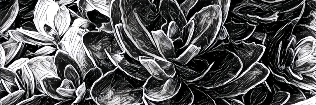 gmsnelsonart's profile banner image