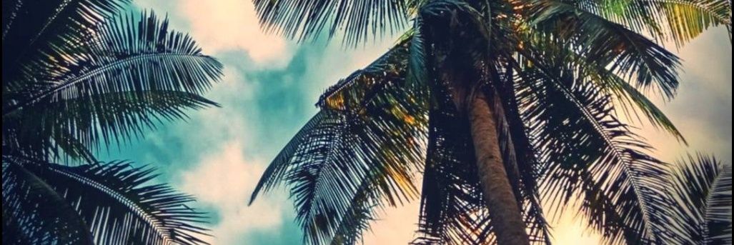 andreuchaLP's profile banner image