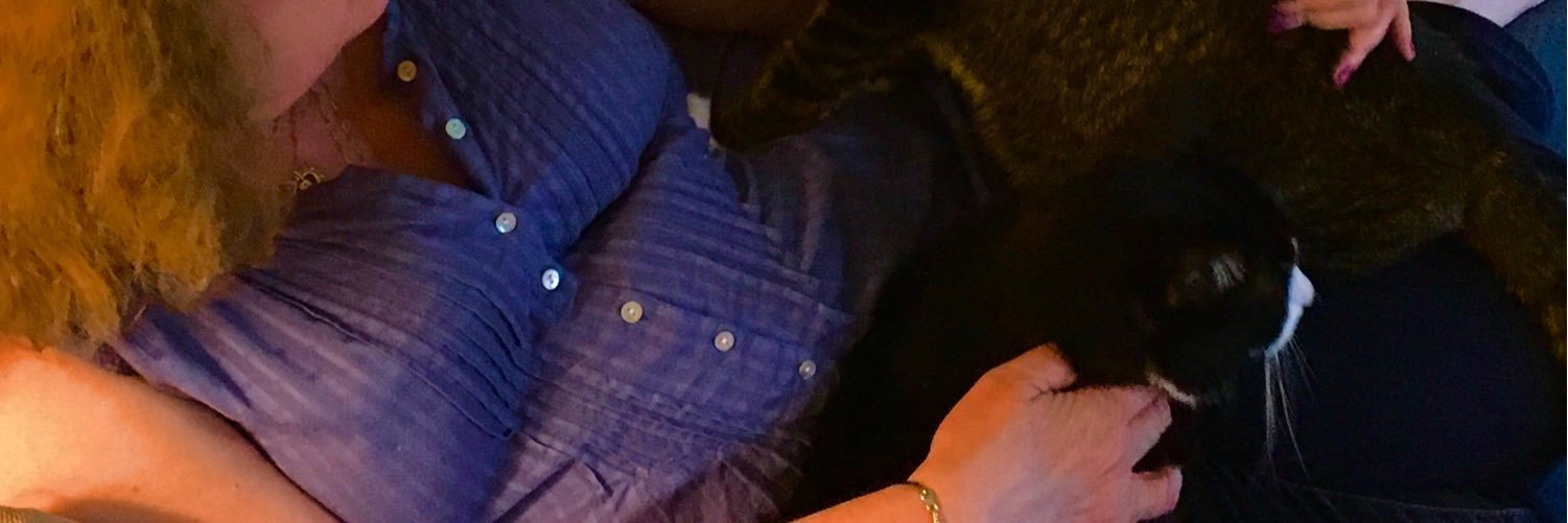 donna1con's profile banner image