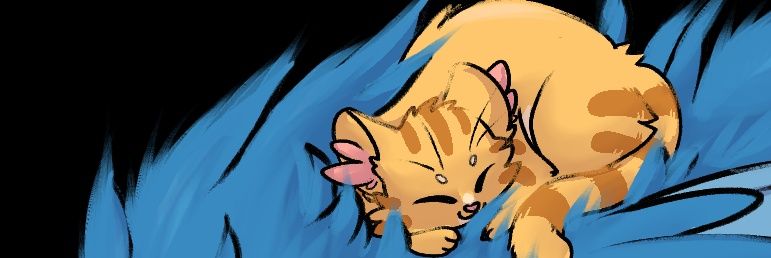 Selttiks000's profile banner image