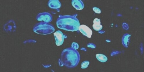 IsaHartleyXA's profile banner image