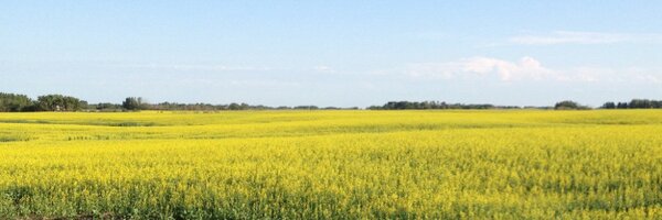 KReddick11 Profile Banner