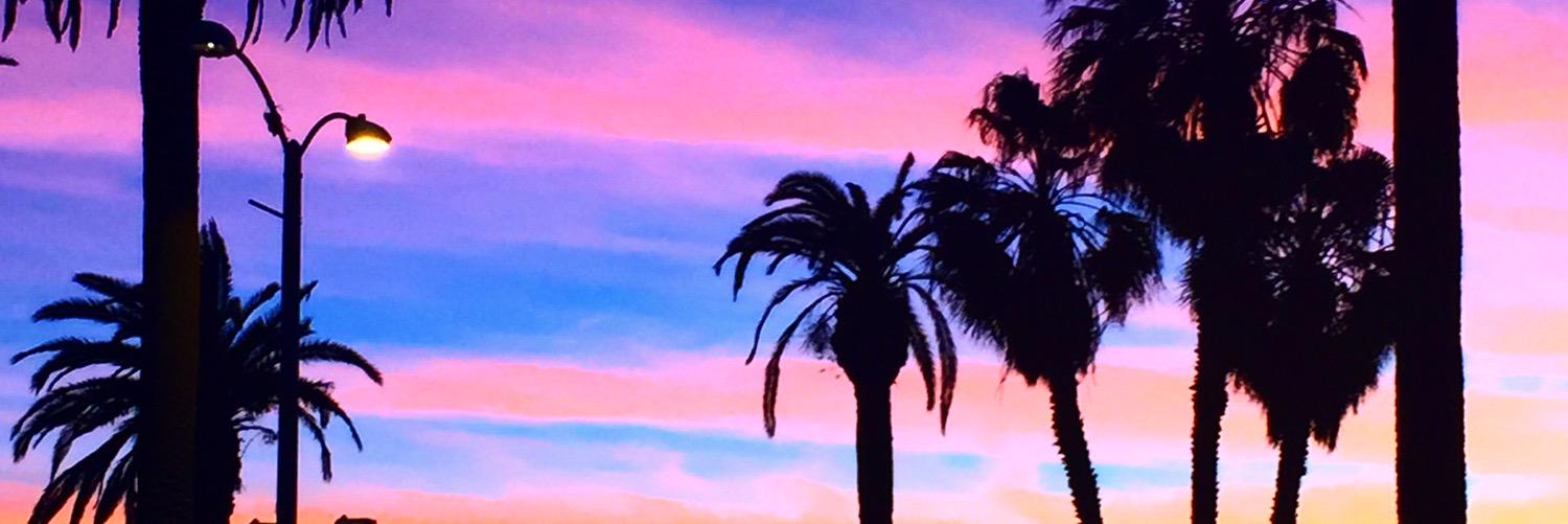 MattHalliday1's profile banner image