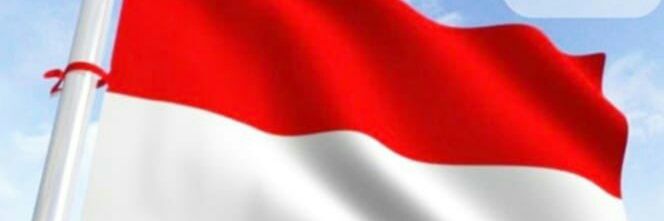 wangdendo's profile banner image