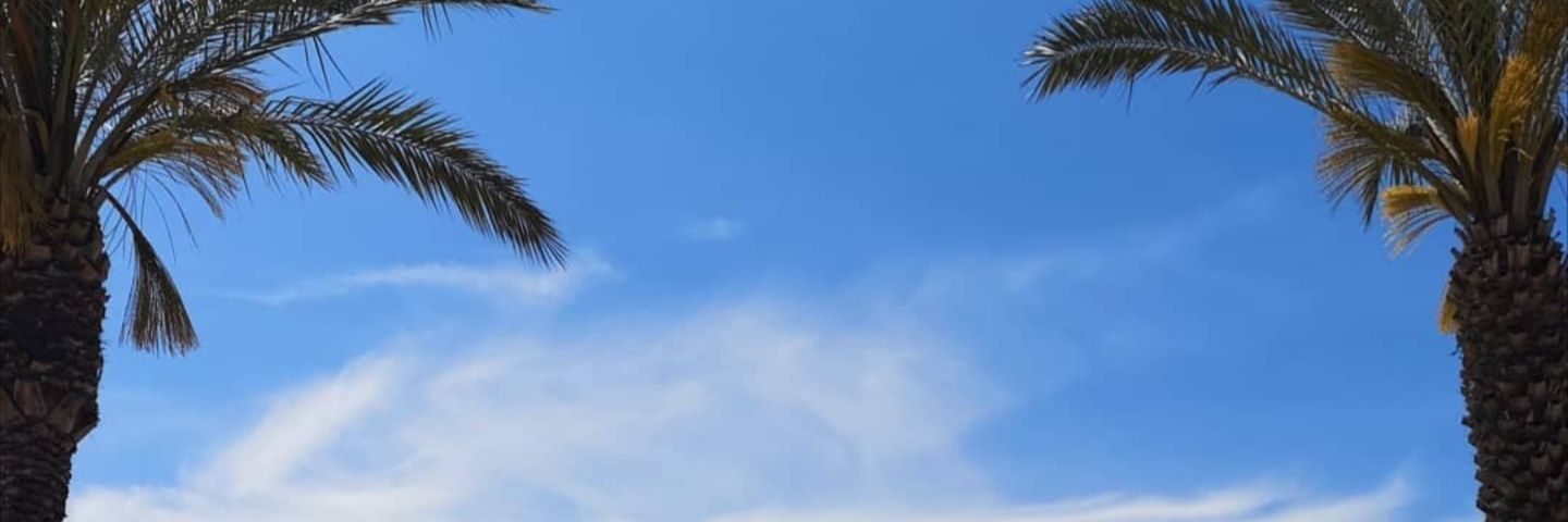 TheRickyroy's profile banner image