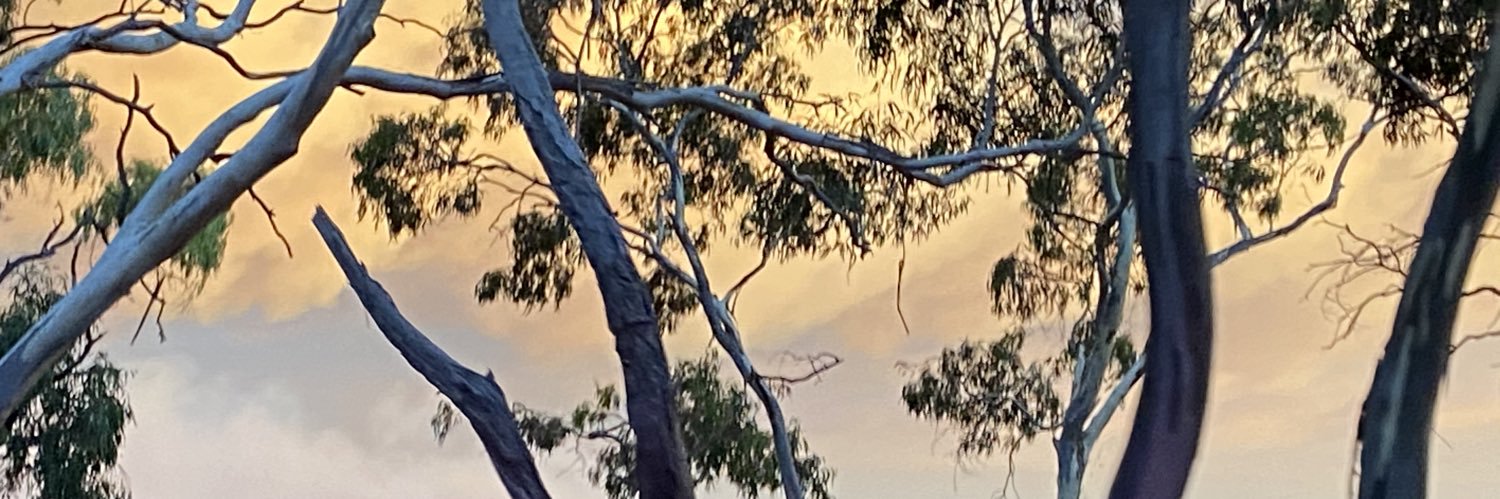 cain_mcdonald's profile banner image