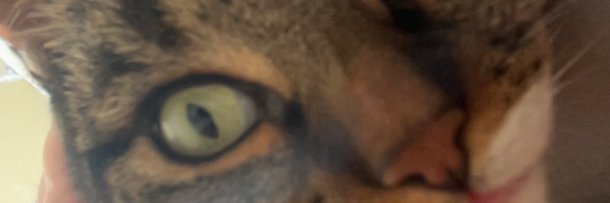 carla_haith's profile banner image