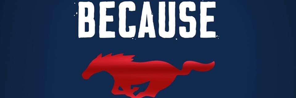 stangsforstangs's profile banner image