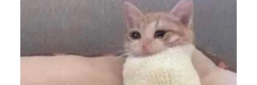 SmileNahomy's profile banner image