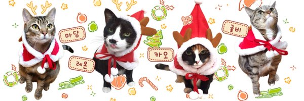 nekomoms Profile Banner