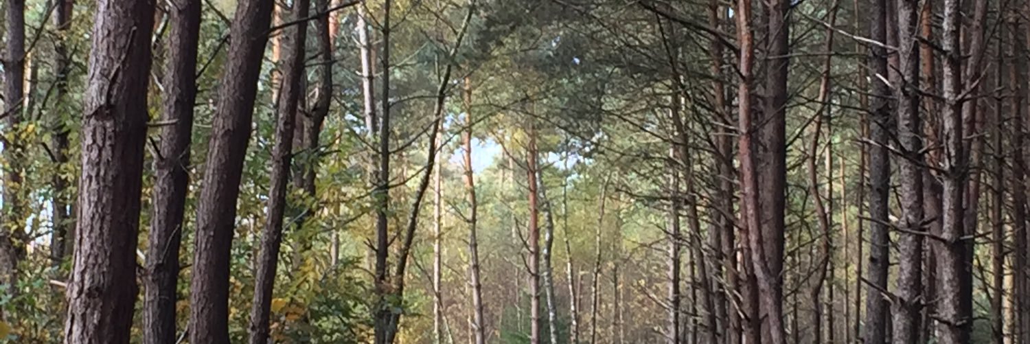 Mumsun's profile banner image