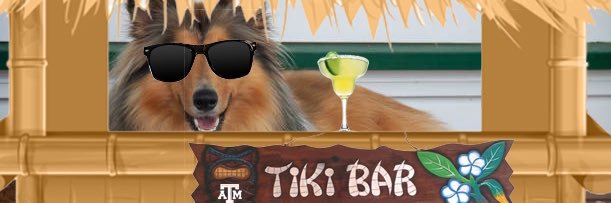 Tiki 😎🏝🏴‍☠️ banner
