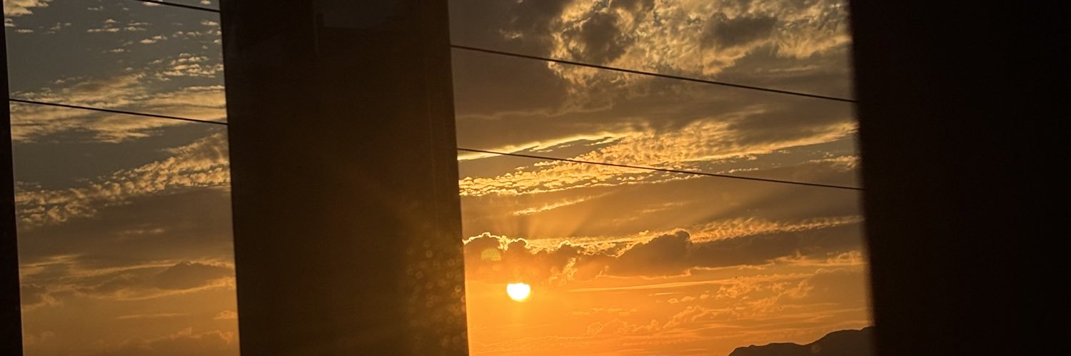 Polli✨ banner