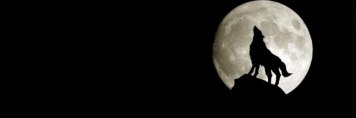spl_tobing's profile banner image