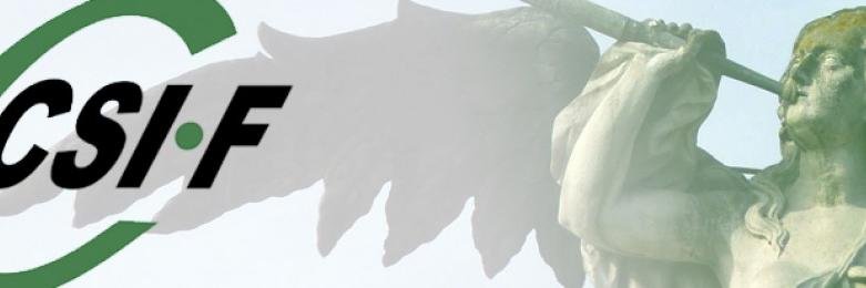 CSI-F Universidad de Sevilla banner